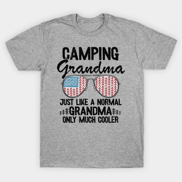 Camping Grandma Just Like A Normal Grandpa Only Much Cooler Funny Camping T-Shirt by Kuehni